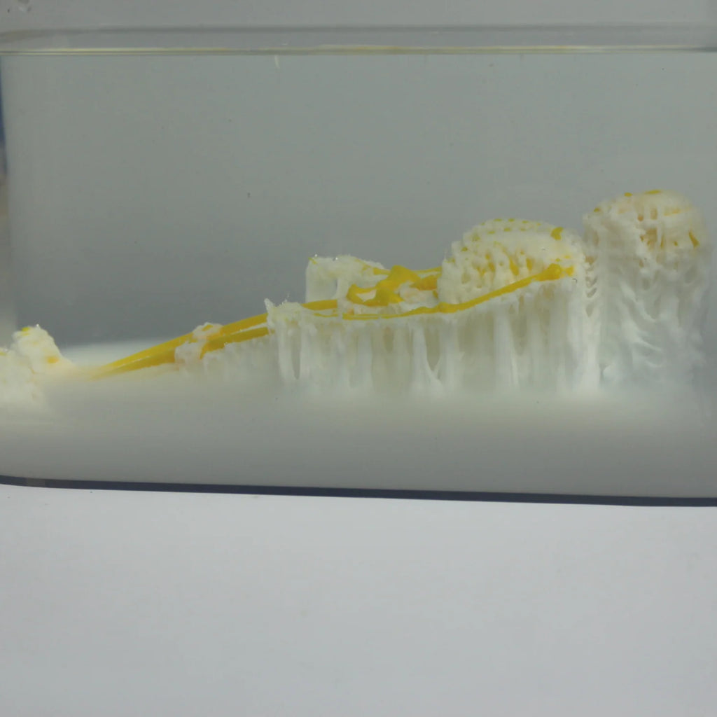 Filamento Polymaker PolyDissolve S1 PVA 1,75 mm – 750 g – Suporte Solúvel